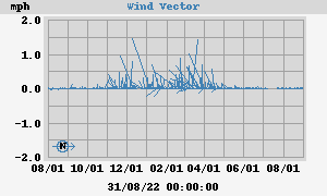 Wind Vector